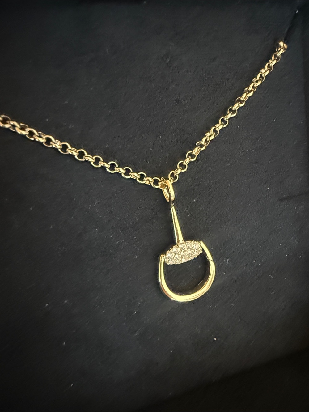 Awe Horsebit Rolo Chain Charm Link Necklace 14K Gold Vermeil NEW - Picture 3 of 8